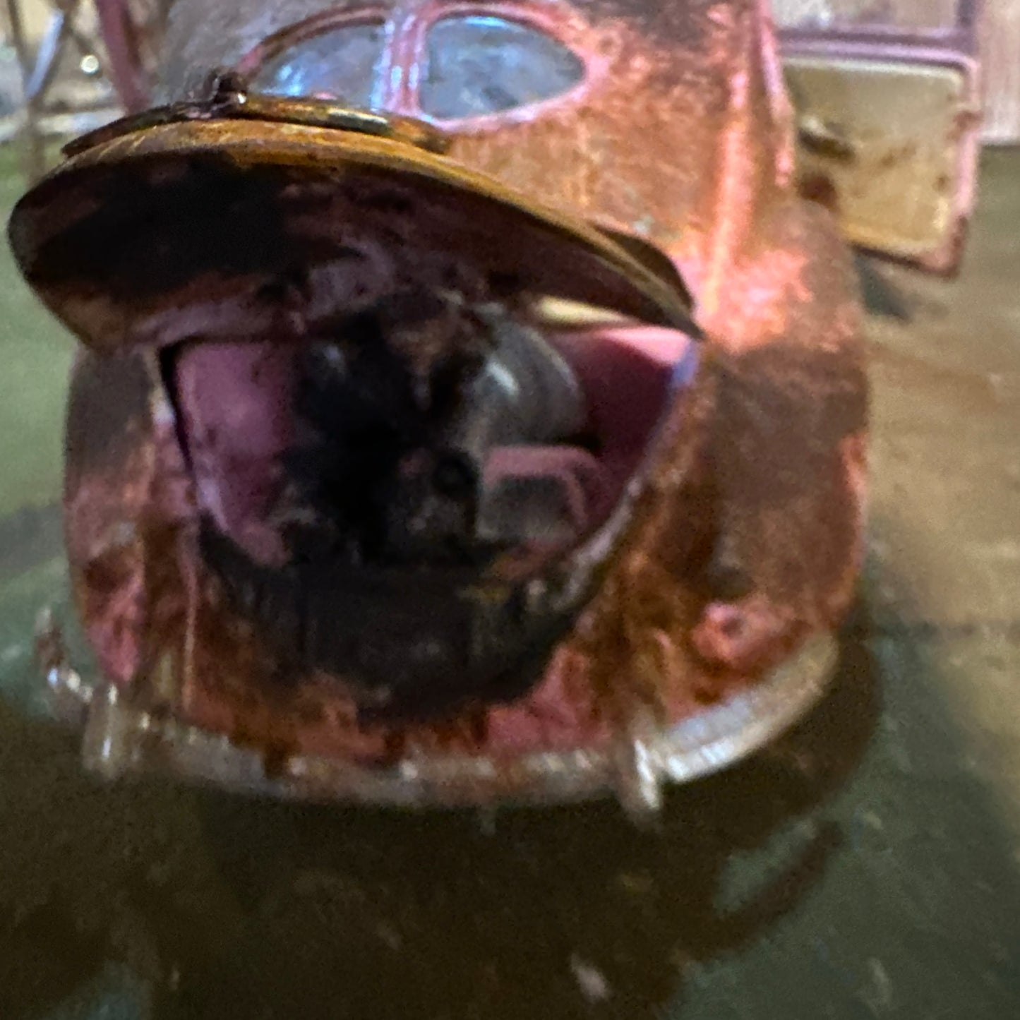 1951 Volkswagen Beetle split window - Barn Find Cars - 1:18 DIECAST